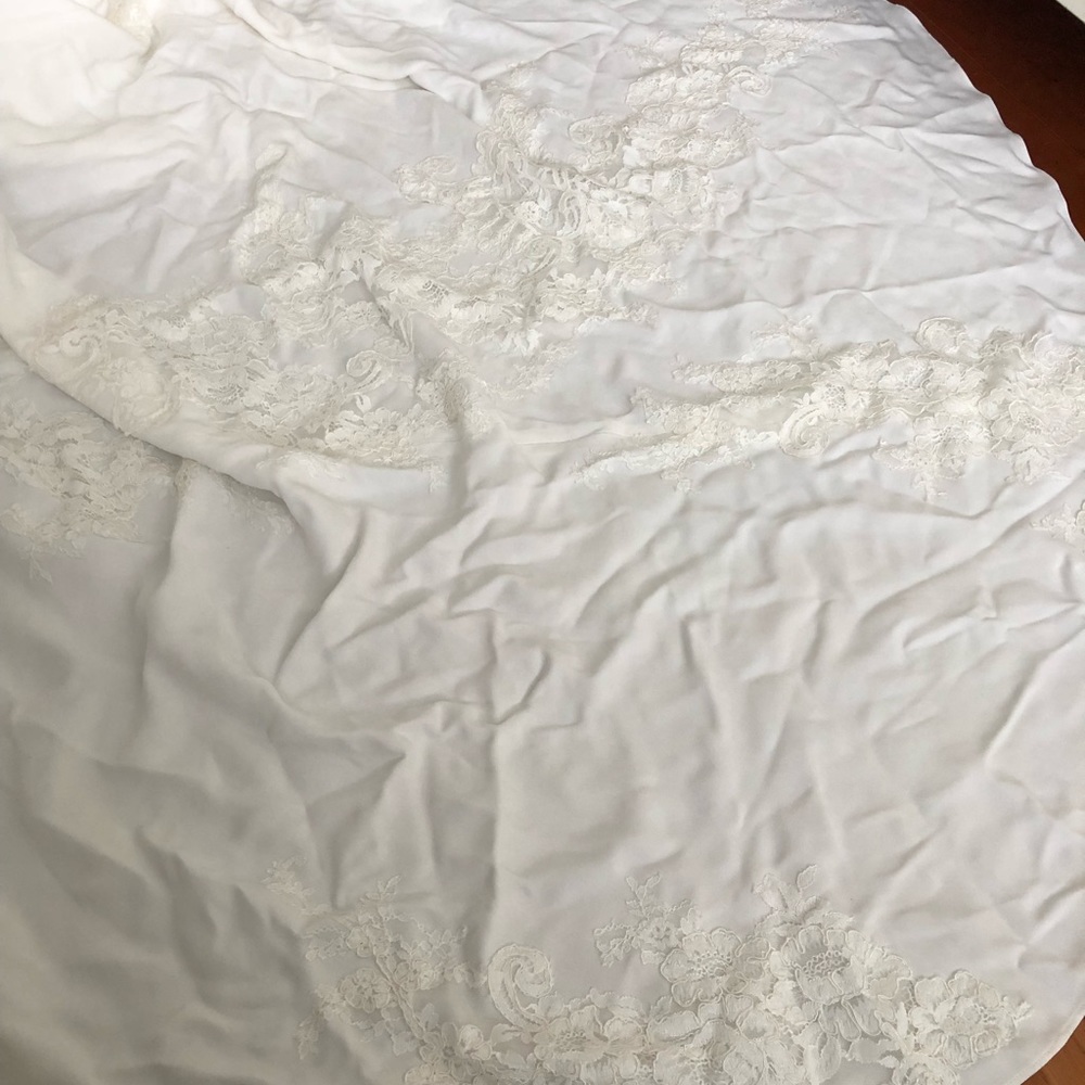 Pronovias Atelier Vicenta Wedding Dress - Picture 8 of 8